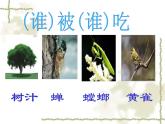 小学六年级下册科学-4.3有趣的食物链-苏教版(18张)ppt课件
