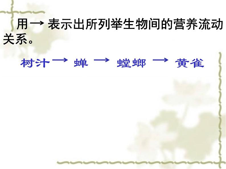 小学六年级下册科学-4.3有趣的食物链-苏教版(18张)ppt课件第7页