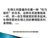 小学六年级下册科学-4.3有趣的食物链-苏教版(13张)(2)ppt课件