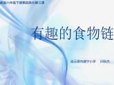 小学六年级下册科学-4.3有趣的食物链-苏教版(16张)(1)(2)ppt课件
