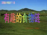 小学六年级下册科学-4.3有趣的食物链-苏教版(17张)(1)(1)ppt课件