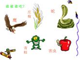 小学六年级下册科学-4.3有趣的食物链-苏教版(17张)(1)(1)ppt课件