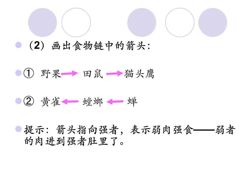 小学六年级下册科学-4.3有趣的食物链-苏教版(17张)(1)(1)ppt课件第8页