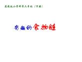 小学六年级下册科学-4.3有趣的食物链-苏教版(8张)(2)ppt课件