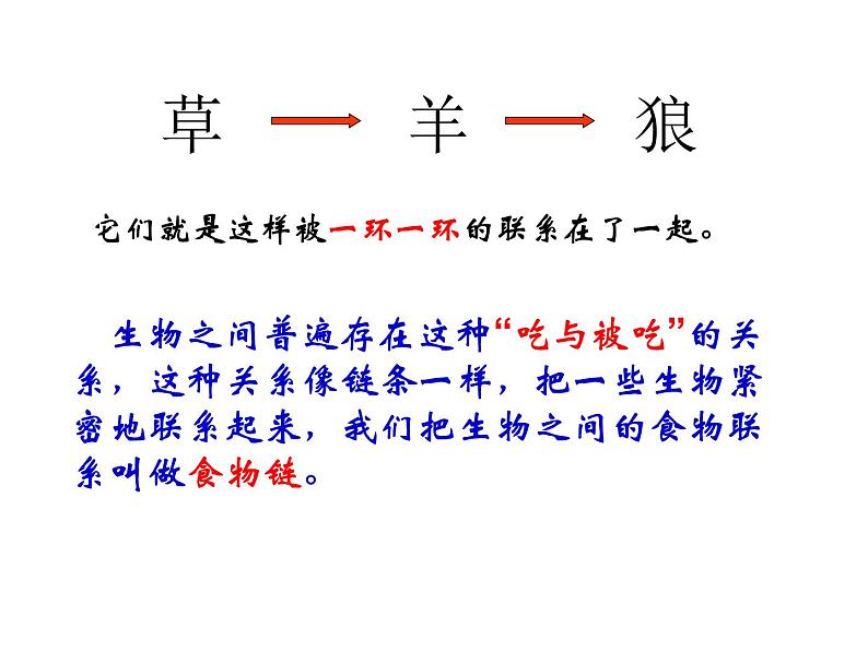 小学六年级下册科学-4.3有趣的食物链-苏教版(8张)(2)ppt课件第4页