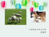 小学六年级下册科学-4.3有趣的食物链-苏教版(13张)(3)ppt课件