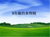 小学六年级下册科学-4.3有趣的食物链-苏教版(17张)ppt课件