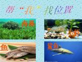 小学六年级下册科学-4.3有趣的食物链-苏教版(9张)ppt课件