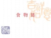 小学六年级下册科学-4.3有趣的食物链-苏教版(16张)(4)ppt课件