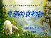 小学六年级下册科学-4.3有趣的食物链-苏教版(11张)(3)ppt课件