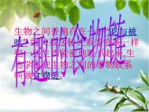 小学六年级下册科学-4.3有趣的食物链-苏教版(11张)(3)ppt课件