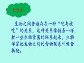 小学六年级下册科学-4.3有趣的食物链-苏教版(9张)ppt课件
