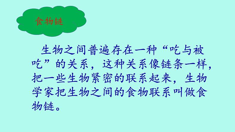 小学六年级下册科学-4.3有趣的食物链-苏教版(9张)ppt课件第4页