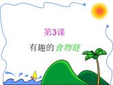 小学六年级下册科学-4.3有趣的食物链-苏教版(10张)(2)ppt课件