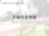 小学六年级下册科学-4.3有趣的食物链-苏教版(18张)ppt课件