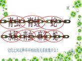 小学六年级下册科学-4.3有趣的食物链-苏教版(18张)ppt课件