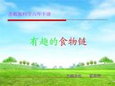 小学六年级下册科学-4.3有趣的食物链-苏教版(20张)(1)(1)ppt课件