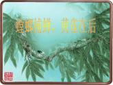 小学六年级下册科学-4.3有趣的食物链-苏教版(21张)(1)ppt课件