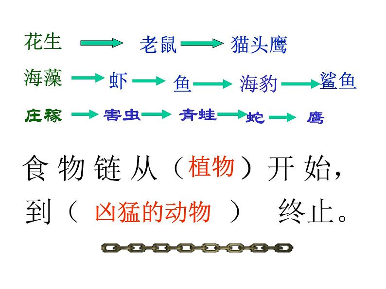 小学六年级下册科学-4.3有趣的食物链-苏教版(21张)(1)ppt课件第8页