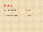 小学六年级下册科学-4.3有趣的食物链-苏教版(22张)(1)(1)ppt课件