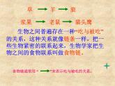 小学六年级下册科学-4.3有趣的食物链-苏教版(22张)(1)(1)ppt课件