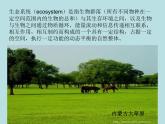 小学六年级下册科学-4.4生态平衡-苏教版(17张)ppt课件