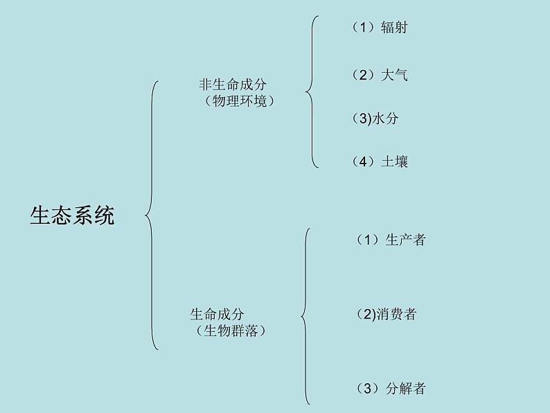 小学六年级下册科学-4.4生态平衡-苏教版(17张)ppt课件第6页