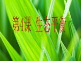 小学六年级下册科学-4.4生态平衡-苏教版(15张)ppt课件