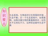 小学六年级下册科学-4.4生态平衡-苏教版(15张)ppt课件