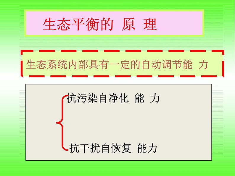 小学六年级下册科学-4.4生态平衡-苏教版(15张)ppt课件第6页