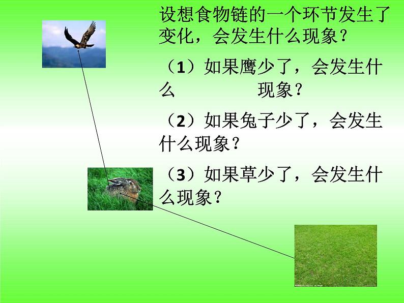 小学六年级下册科学-4.4生态平衡-苏教版(15张)ppt课件第8页