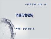 小学六年级下册科学-4.3有趣的食物链-苏教版(19张)ppt课件