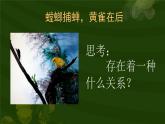 小学六年级下册科学-4.3有趣的食物链-苏教版(19张)ppt课件