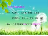 小学六年级下册科学-4.4生态平衡-苏教版(14张)(1)ppt课件