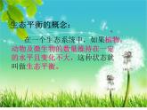 小学六年级下册科学-4.4生态平衡-苏教版(14张)(1)ppt课件