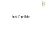小学六年级下册科学-4.3有趣的食物链-苏教版(19张)ppt课件