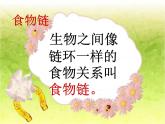 小学六年级下册科学-4.3有趣的食物链-苏教版(27张)(1)ppt课件