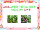 小学六年级下册科学-4.3有趣的食物链-苏教版(27张)(1)ppt课件