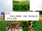 小学六年级下册科学-4.4生态平衡-苏教版(14张)(2)ppt课件