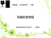小学六年级下册科学-4.3有趣的食物链-苏教版(20张)(2)ppt课件