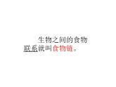 小学六年级下册科学-4.3有趣的食物链-苏教版(20张)(2)ppt课件