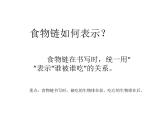小学六年级下册科学-4.3有趣的食物链-苏教版(20张)(2)ppt课件