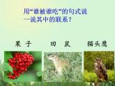 小学六年级下册科学-4.3有趣的食物链-苏教版(29张)(1)ppt课件
