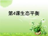小学六年级下册科学-4.4生态平衡-苏教版(8张)ppt课件