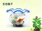 小学六年级下册科学-4.4生态平衡-苏教版(8张)ppt课件