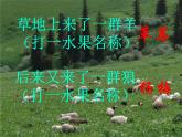 小学六年级下册科学-4.3有趣的食物链-苏教版(40张)ppt课件