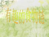 小学六年级下册科学-4.3有趣的食物链-苏教版(40张)ppt课件
