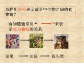 小学六年级下册科学-4.3有趣的食物链-苏教版(22张)(1)ppt课件