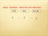 小学六年级下册科学-4.3有趣的食物链-苏教版(24张)ppt课件