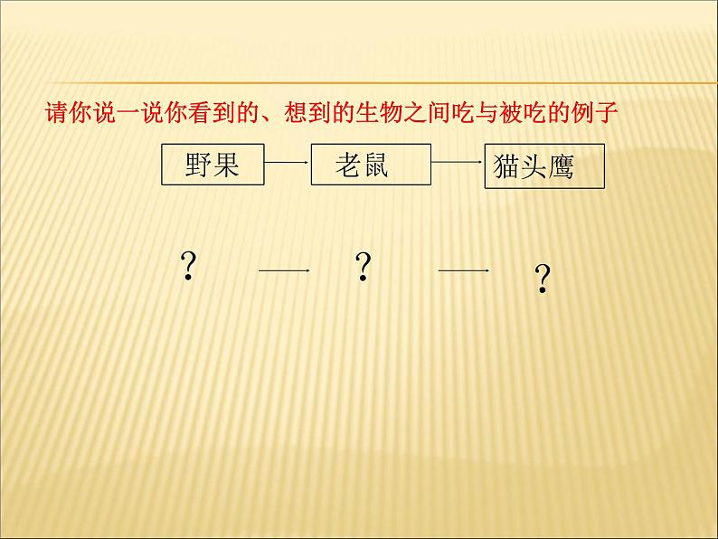 小学六年级下册科学-4.3有趣的食物链-苏教版(24张)ppt课件第4页